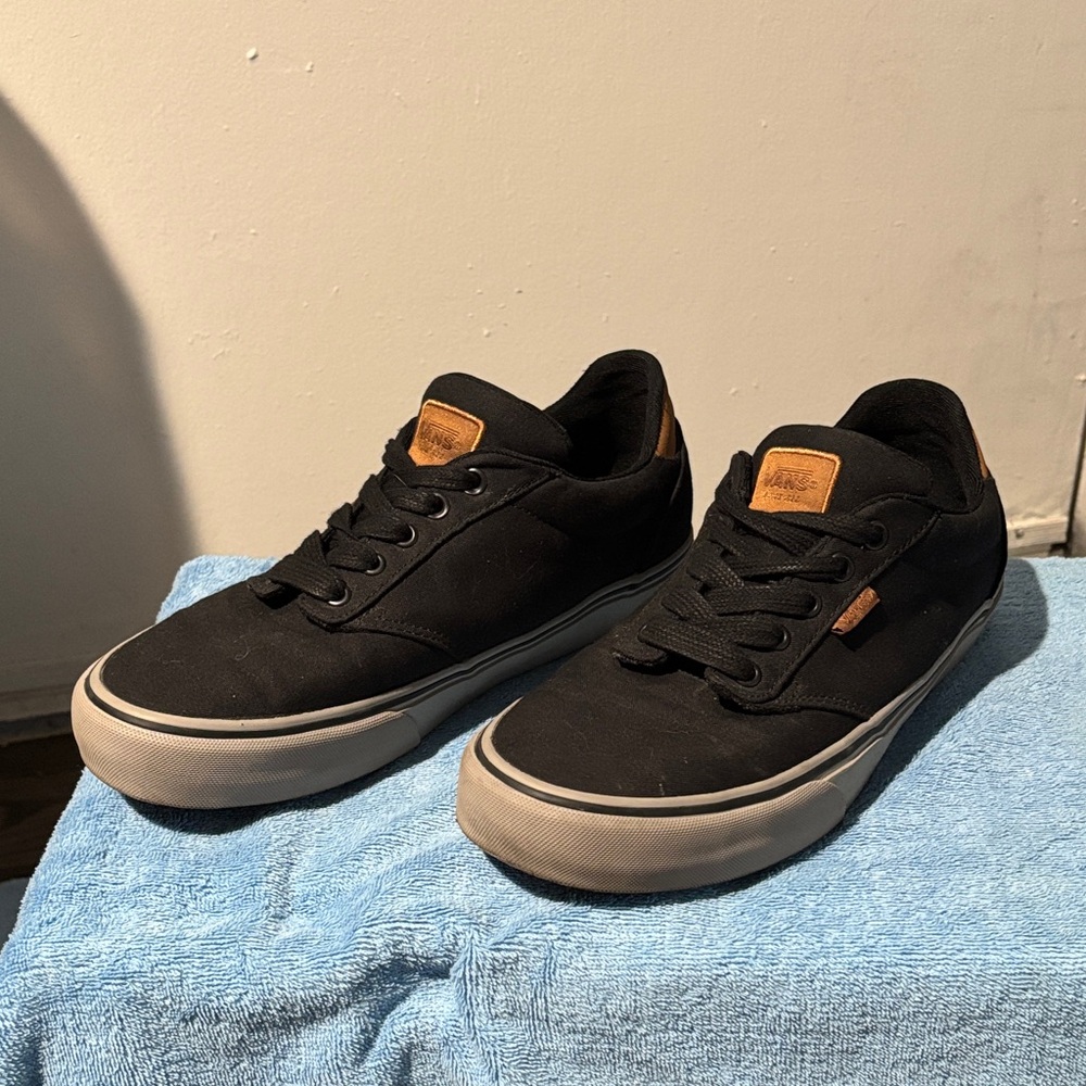 Vans Atwood canvas skate shoes
